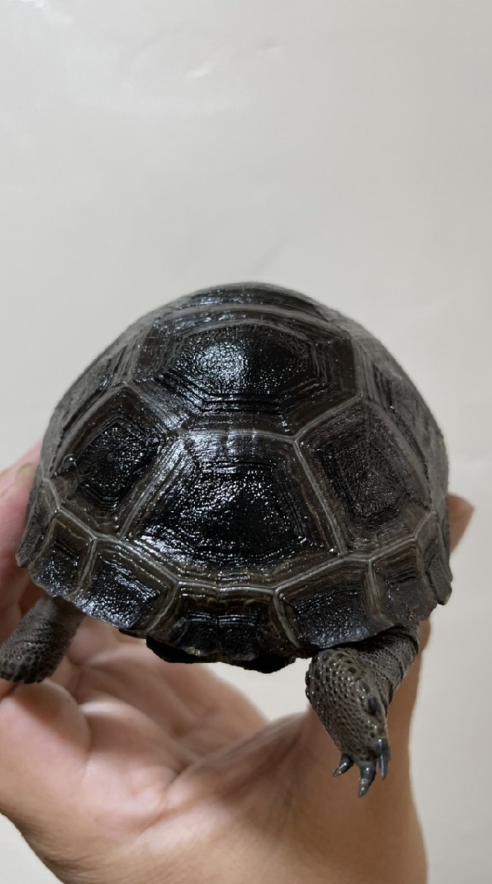 靠北龜龜1.0