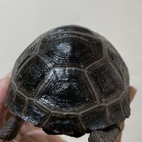 靠北龜龜1.0