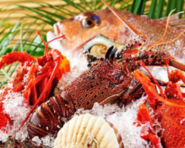 Mixed Media Feed 菜花野 Line Official Account