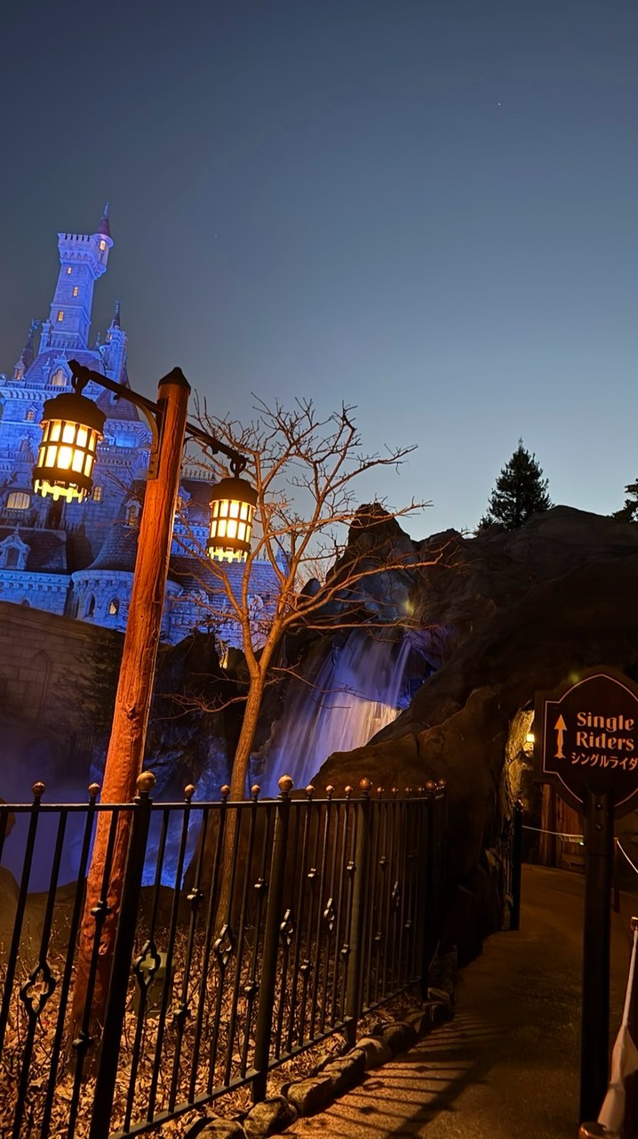 ディズニー フリグリ 報