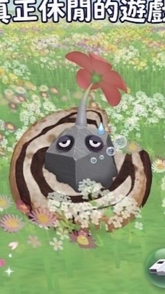 埔里Puli*一起來玩皮克敏Pipi