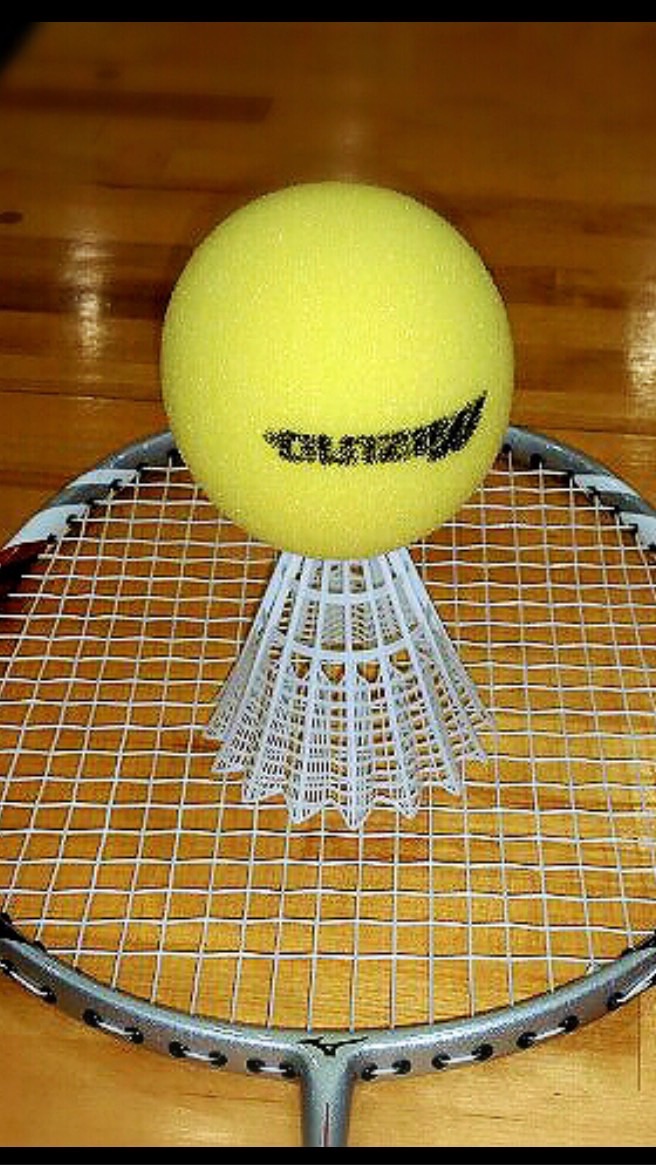 徳島ファミリーバドミントン🏸