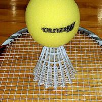 徳島ファミリーバドミントン🏸