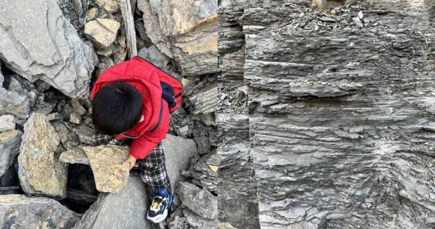 A 5-year-old boy climbed a mountain and picked up a “strange stone”. Expert identification confirmed that it was a 500-million-year-old paleontological fossil | CTWANT | LINE TODAY