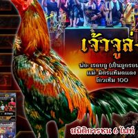 3D บ้านสวน ฟาร์ม