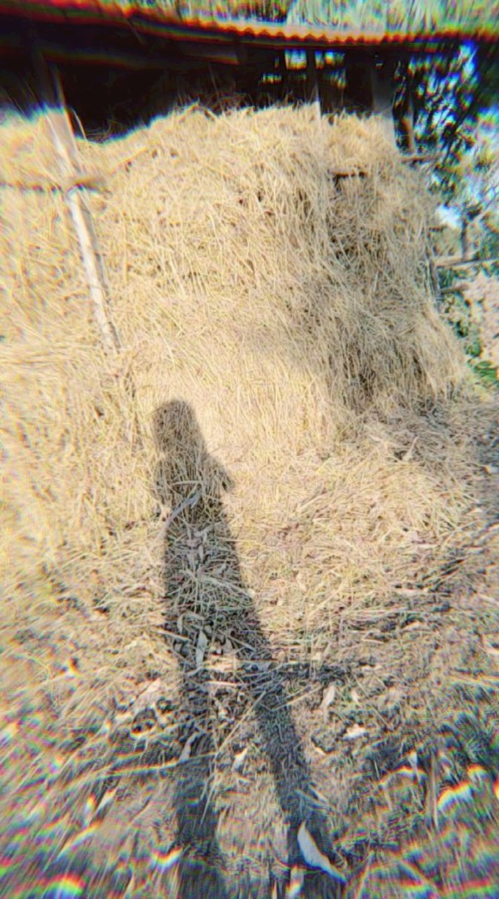 หาเพื่อนเล่น free fire