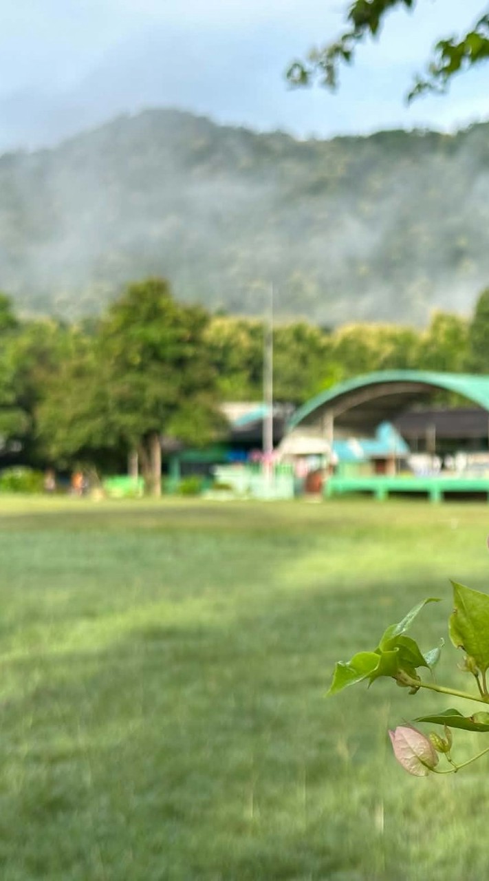 เครือข่ายโรงเรียนไทยรัฐฯ 85