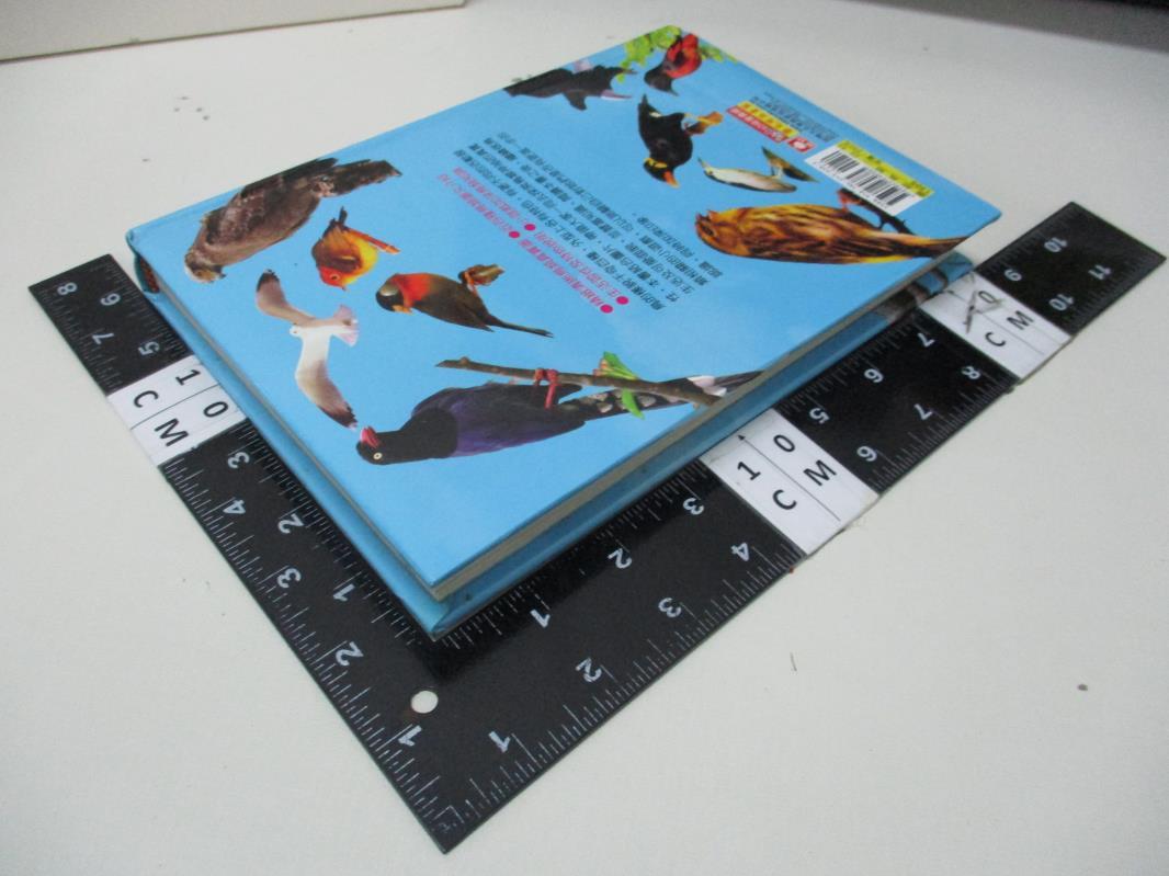 【書寶二手書T1／少年童書_B18】圖解鳥類小百科_幼福編輯部
