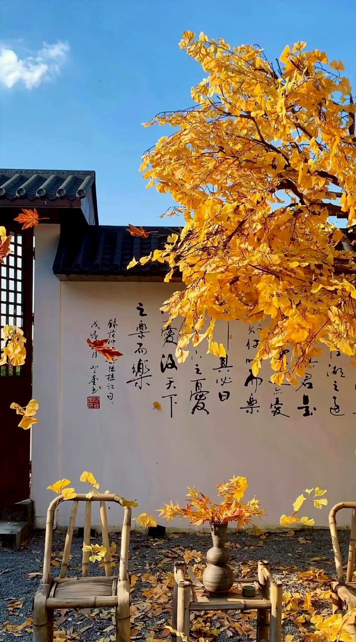 °•~𝓜𝓸 𝓨𝓾𝓷 ×𝓗𝓾𝓪𝓲 𝓧𝓲𝓷𝓰~•°