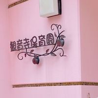 観音寺りす組