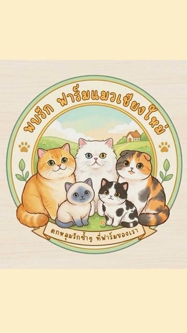 ❤️ พบรัก ฟาร์มแมวเชียงใหม่ 🐈‍⬛