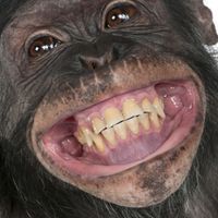 多分だれもこないオプ
