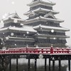 信長の野望 覇道 W40 三好十傑withだい