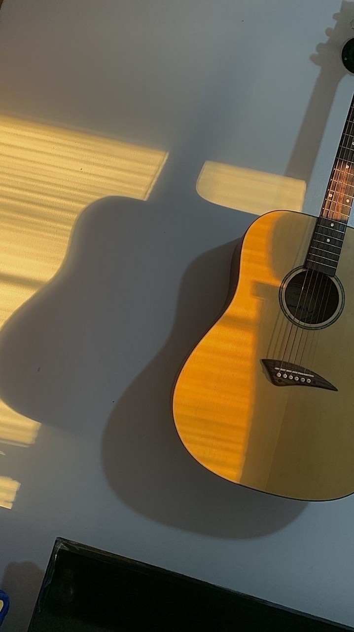 118上成功大學吉他社🎸