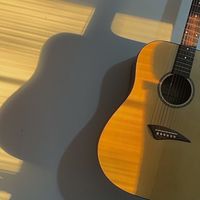 118上成功大學吉他社🎸
