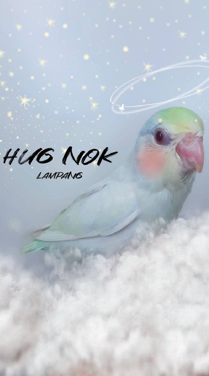 HUGNOK.LP