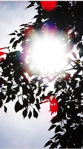 整う足裏５daysチャレンジ、魂の再起動セミナー