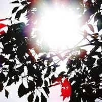 セロトニン美人®︎体験版　セミナーなど