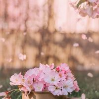 心悸研究室