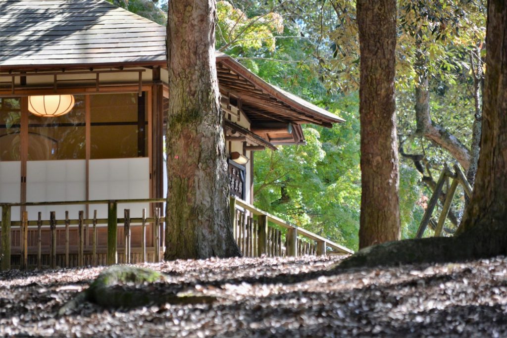 新年號「令和」出自萬葉集，萬葉集是一本怎樣的書呢？