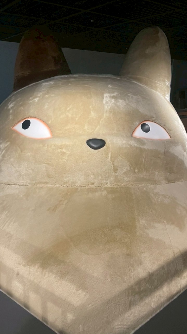 圓圓的起伏日韓線上代購