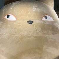 圓圓的起伏日韓線上代購