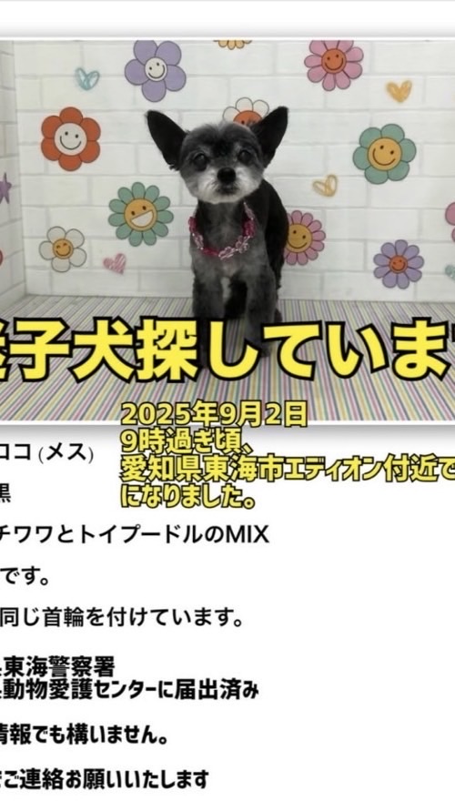 東海市　犬探し　※入室後はノートをご確認ください