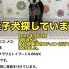 東海市　犬探し　※入室後はノートをご確認ください