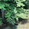 南海トラフに備えて生きてたらここで集合