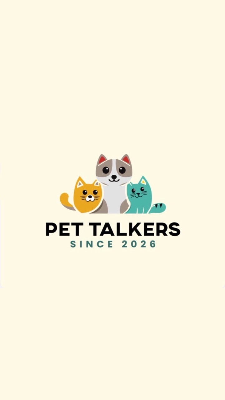 Pet talk Pet toy
