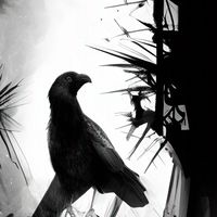 Monochrome animals 【モノアニ】NFT