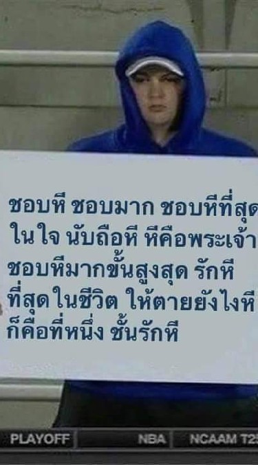 แมวว