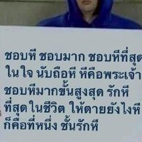 แมวว