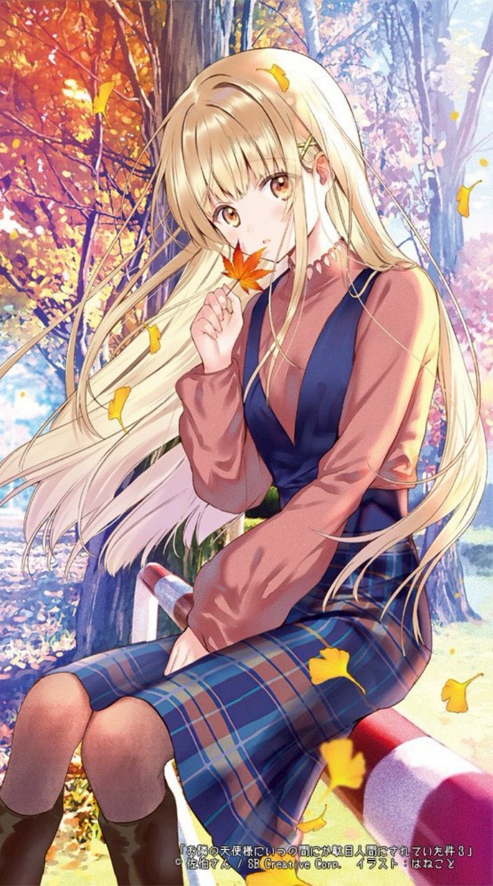 ぶりっつ