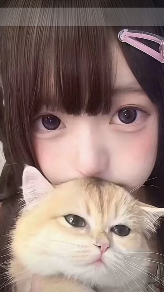 可愛八卦群