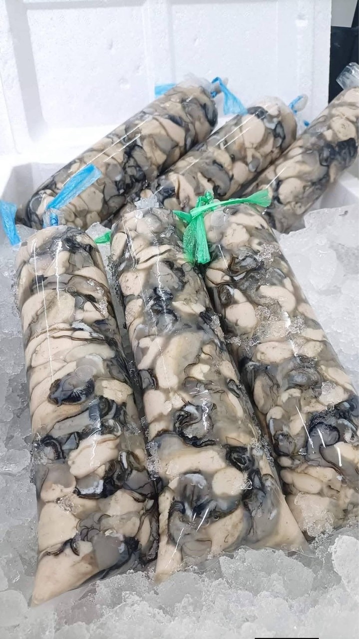 海龍水產