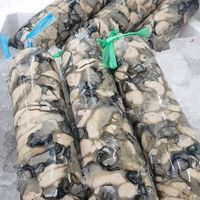 海龍水產