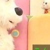 雑談 歌枠、適当に
