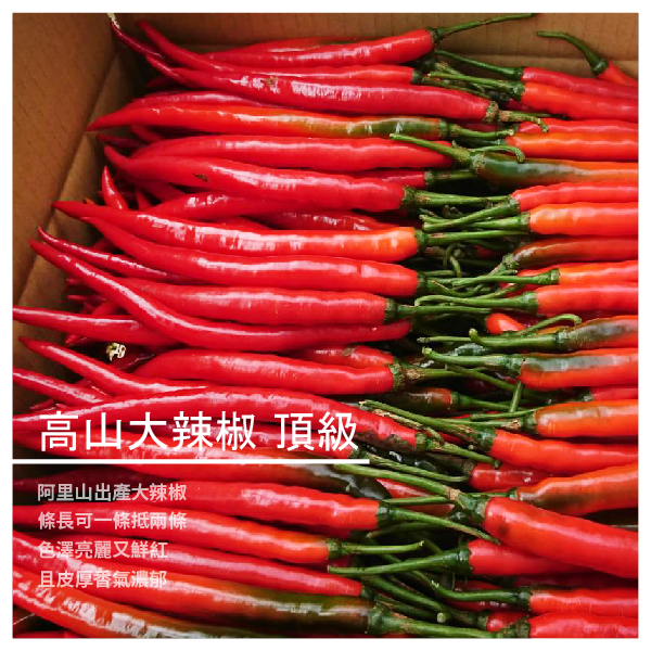 阿里山高山大辣椒 頂級 ​​★ 阿里山特色高山農產 ​​ ★ 新鮮採收 品質一等一 ★ 色澤亮麗又鮮紅 ★ 皮厚香濃 齒頰留香 商品介紹 產自於阿里山石棹的特色大辣椒 小農精選，當季現採，產地直送 品