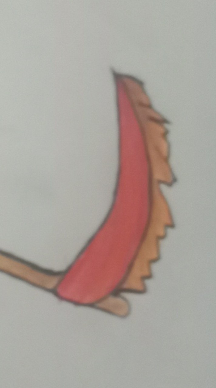มือใหม่หัดวาดรูปดาบ