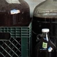 ทำไวน์ที่บ้าน Making wine at home