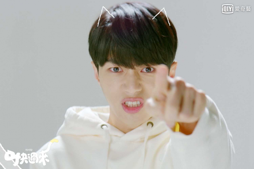 金明洙飼養的俄羅斯藍貓「星兒」很親人，個性比較像狗。（圖/愛奇藝台灣站）