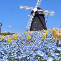 🌸関西🌸40〜60代　カフェ☕️で一息🫖イベントも楽しみましょう🎵😊