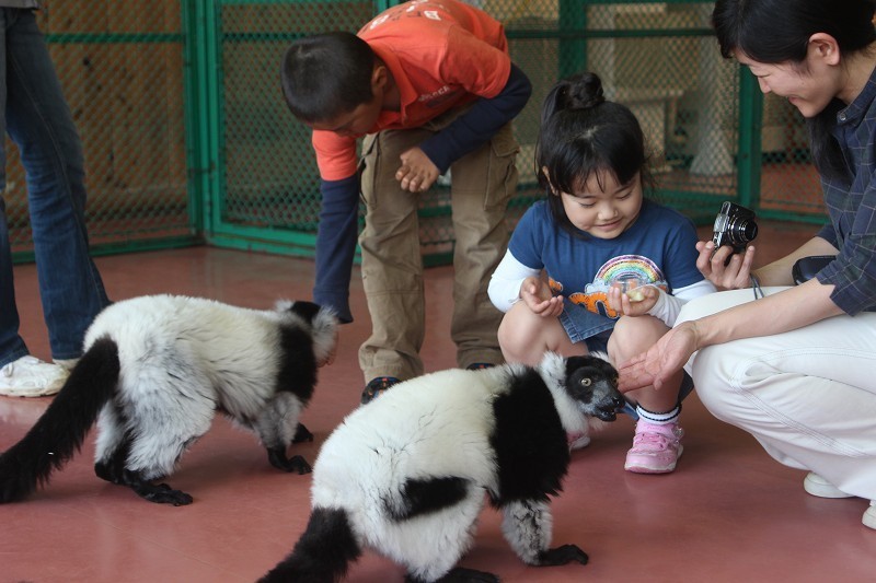 那須 親子におすすめ動物ふれあい7選 エサやり 特別体験も