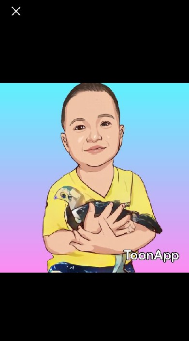 ซุ้มป่ามัน ฟาร์ม จำหน่ายไก่ชน