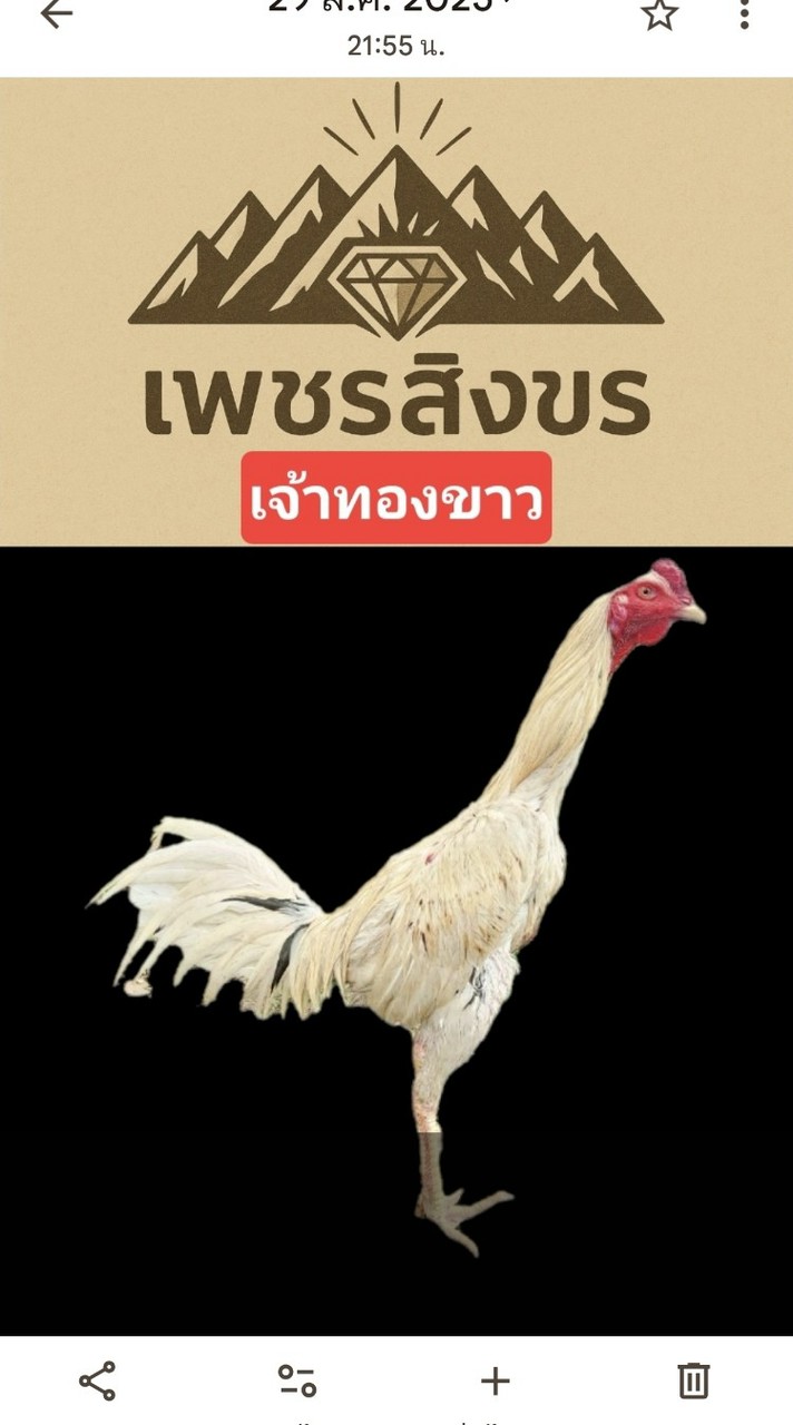 ซุ้มเพชรสิงขรฟาร์ม