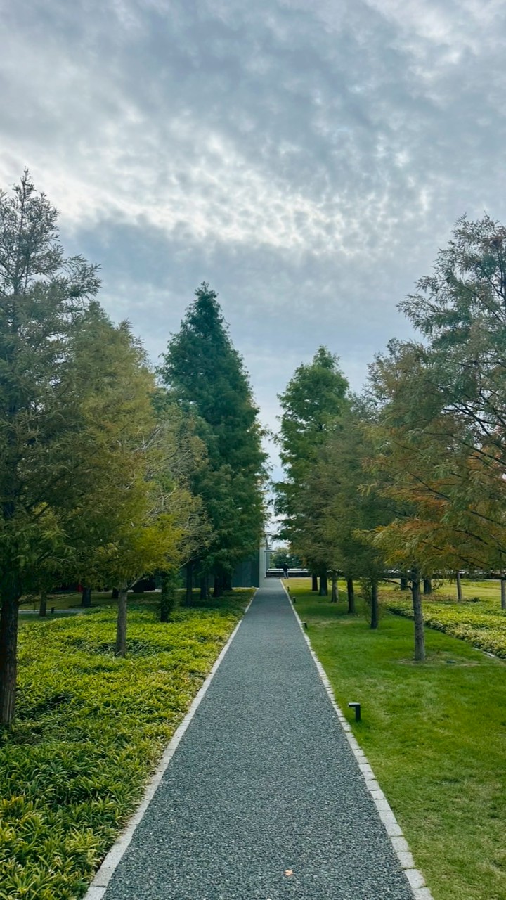 albero村の掲示板
