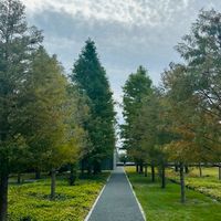 albero村の掲示板