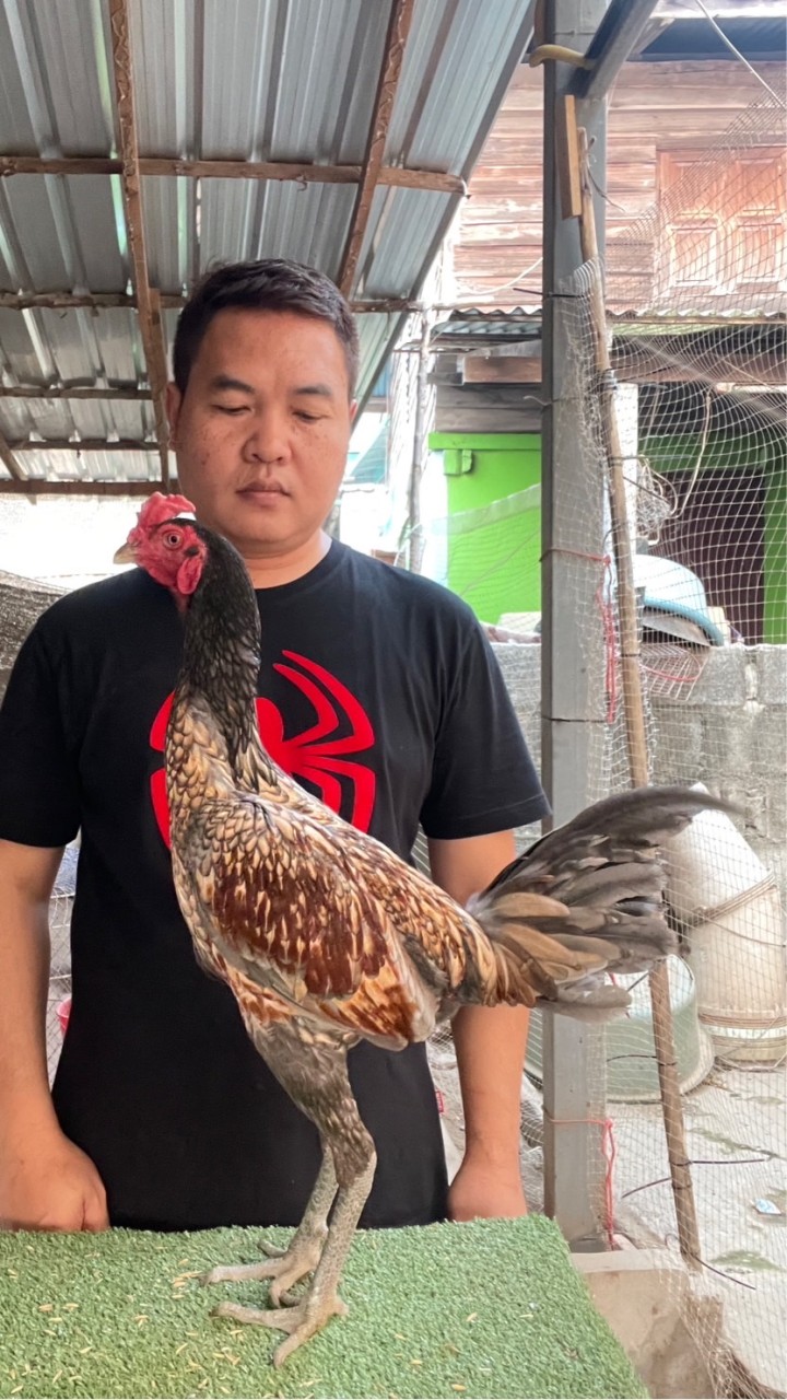 ซุ้ม ส.พิกุลทอง