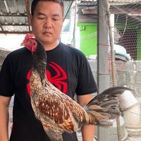 ซุ้ม ส.พิกุลทอง